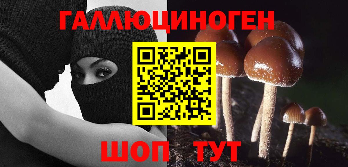 Псилоцибиновые грибы Psilocybe Обь