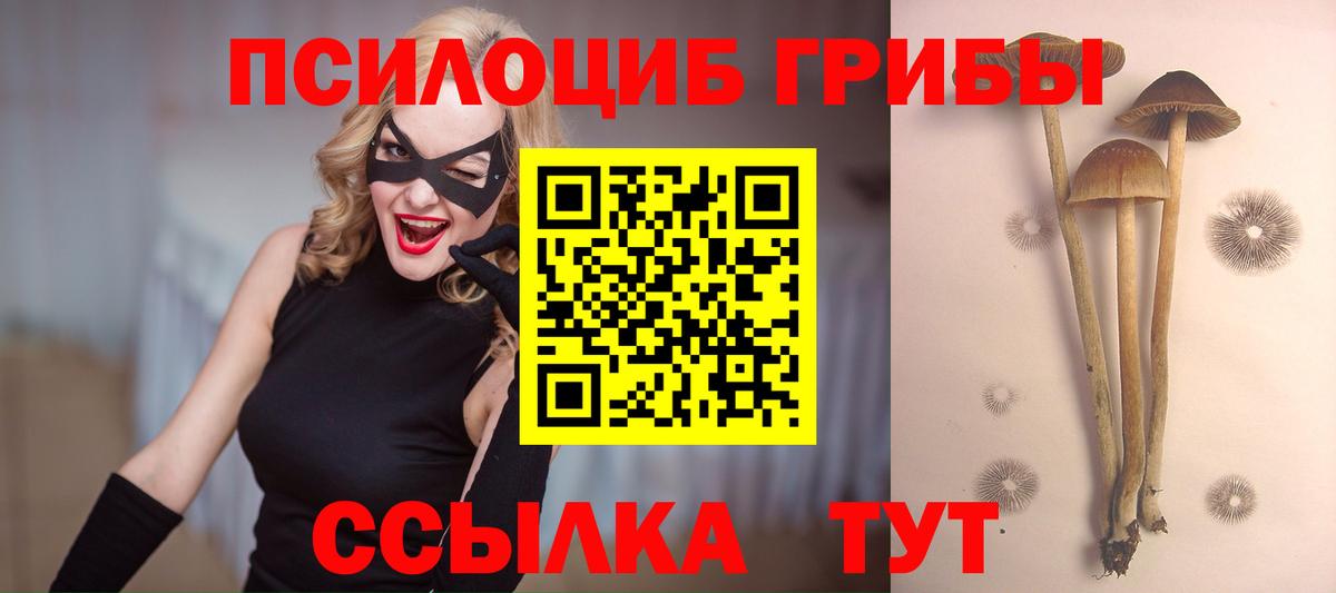 Галлюциногенные грибы GOLDEN TEACHER  Псилоцибиновые грибы Psilocybe  Обь  Вход с VPN 